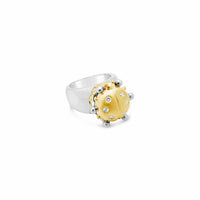 ladybug rings