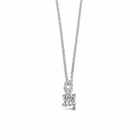 silver frog pendant on chain