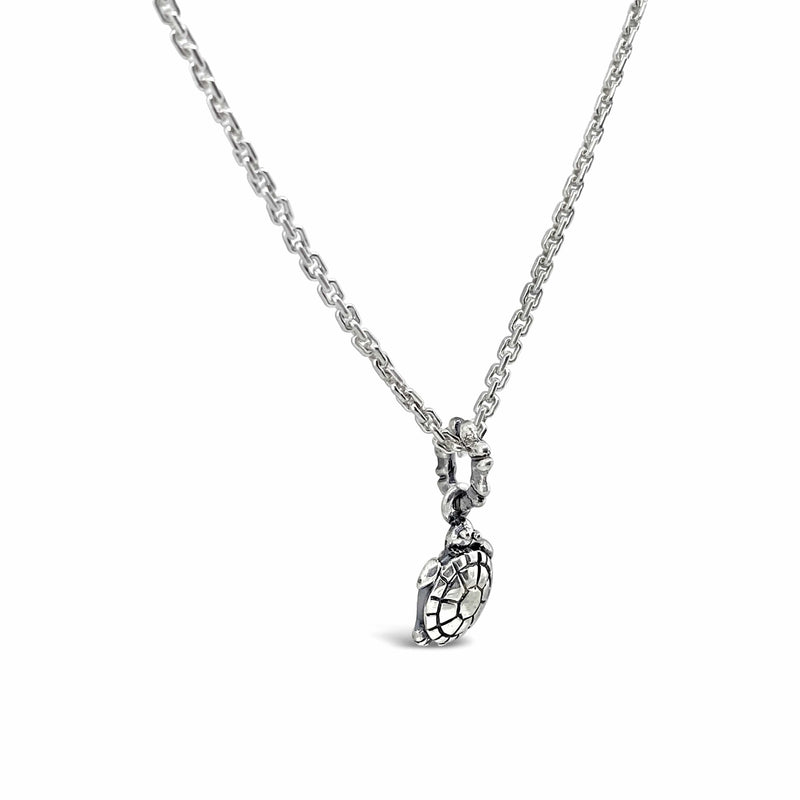 products/silver_turtle_charm_on_chain.jpg