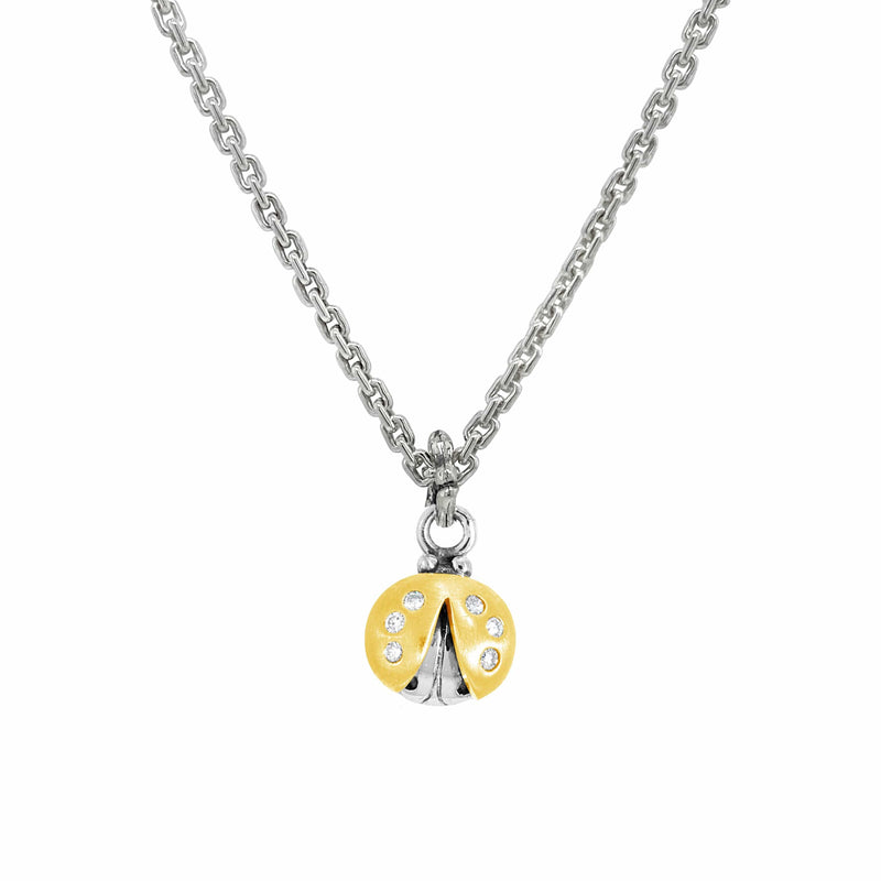 files/small_gold_ladybug_pendant_on_chain.jpg