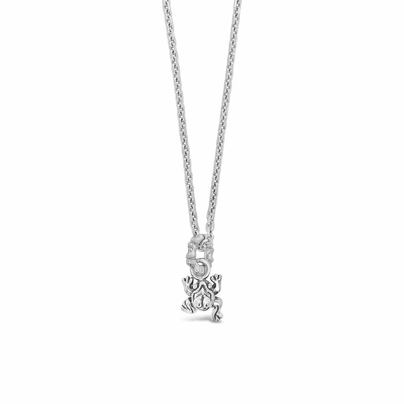 products/silver_frog_pendant_on_chain.jpg