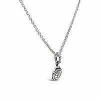 silver  turtle charm on chain