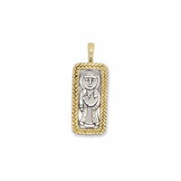 st. francis of assisi medal with gold bezel